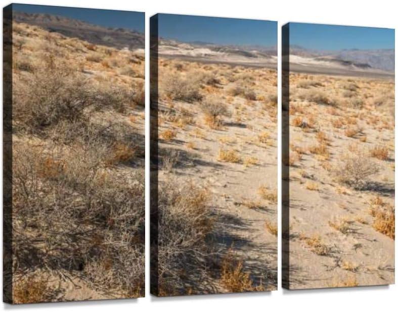 Eureka Dunes, Death Valley National Park, California s and Print On Canvas Wall Artwork Modern Photography Home Decor Unique Pattern Stretched and Framed 3 Piece