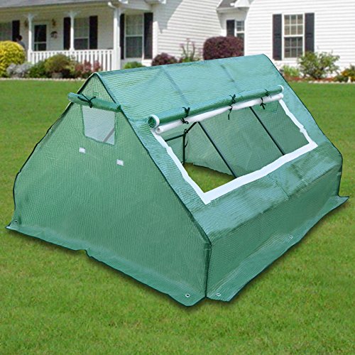 Strong Camel New Greenhouse 6 X5 X3 Hot Garden House Buy Online
