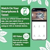 Green Feathers WiFi Birdbox Camera 1080p Night Vision 20m Kit view 3