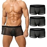 Deedlite Men's Sheer See Through Underwear, Transparent Ultra-Thin Ice Silk Lightweight Breathable Boxer Briefs