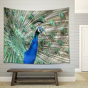 Peacock with Feathers Out - Fabric Wall Tapestry Home Decor - 51x60 inches