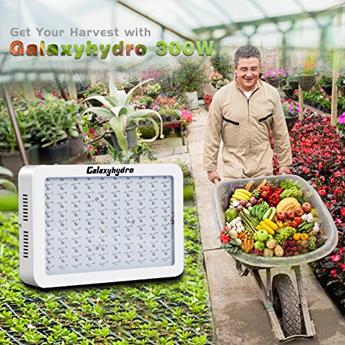 Roleadro LED Grow Light, Galaxyhydro Series 300W Indoor Plant Grow Lights Full...