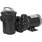 Amazon.com : Hayward SP15922S PowerFlo Matrix 1 HP Dual