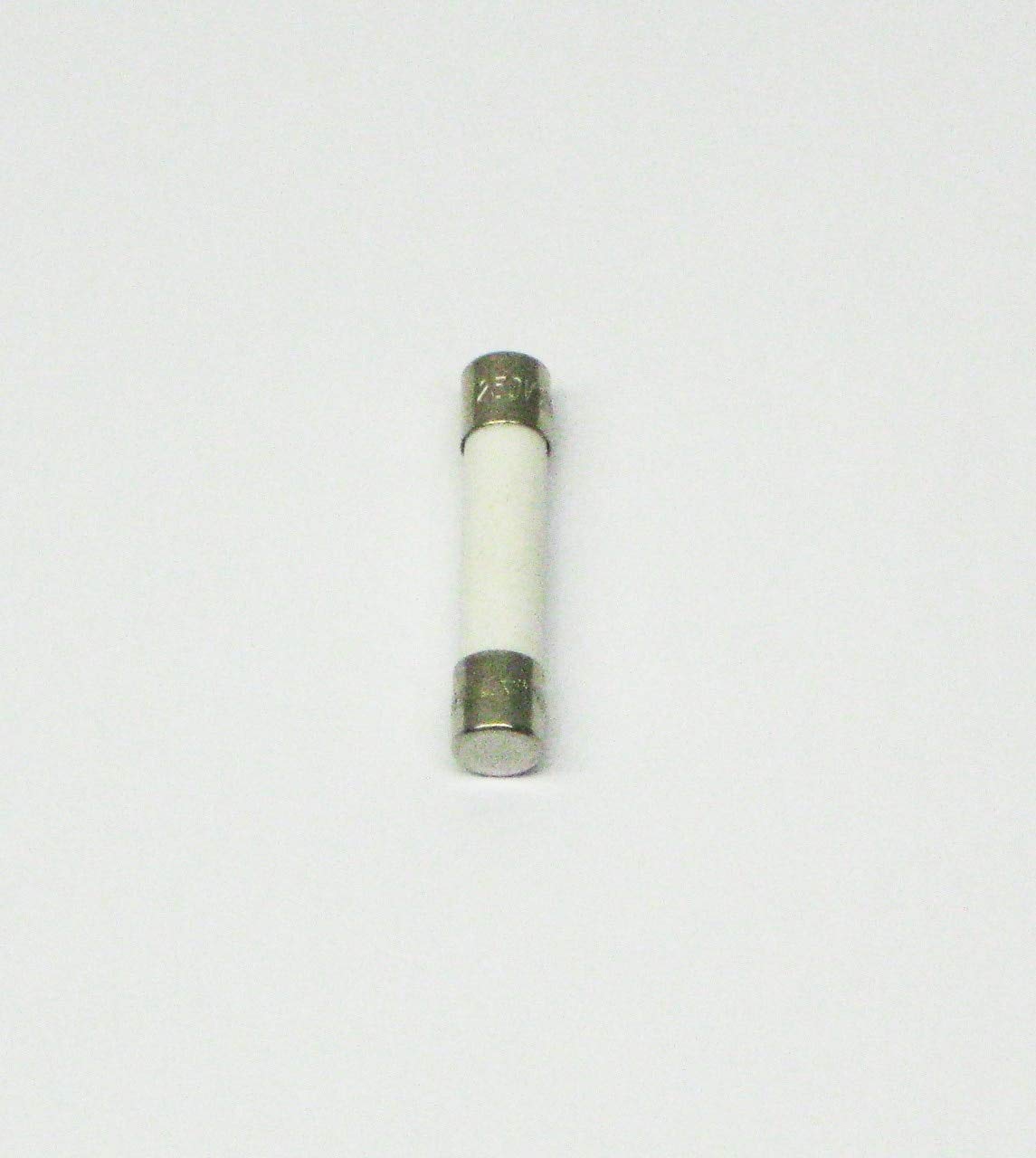 Microwave Fuse 20 Amp Industrial & Scientific