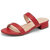 DREAM PAIRS Women's Slides Heels Slip On Low Block Sandals Two Strap Open Round Toe Chunky Casual Summer Mules Shoes