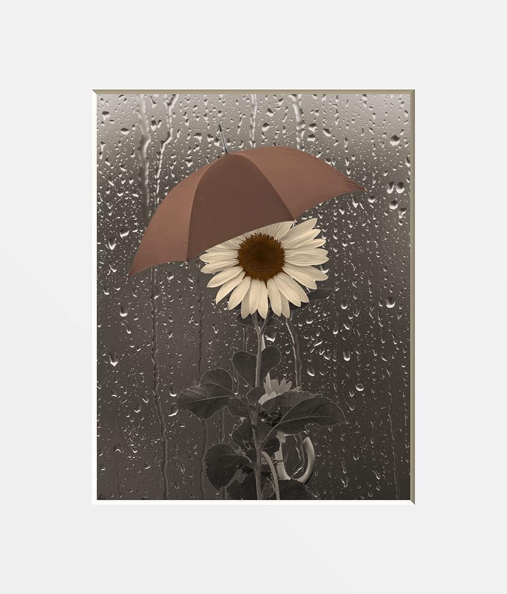 Photographs - Brown Beige Bathroom Wall Decor, Decorative Modern Sunflower Umbrella Raindrops Matted Wall Art Picture (11x14 Picture with 16x20 Mat)