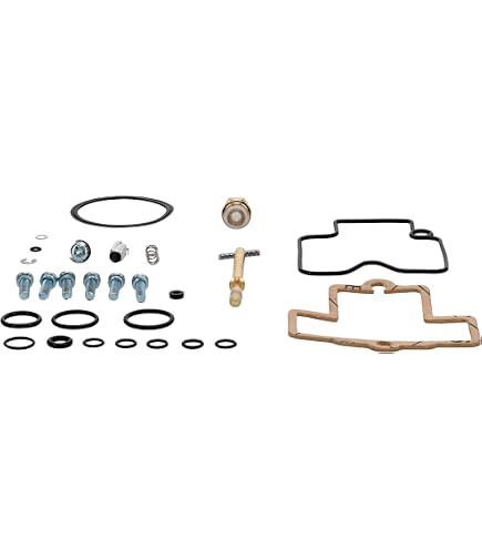 Amazon.com: Rippin Moto TPi Idle Adjustment Screw for 2018 up KTM