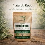 Natures Root Organic Broccoli Sprouting Seeds 250g Non GMO Microgreen view 8
