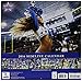 Turner Dallas Cowboy Cheerleaders 2016 Wall Calendar, September 2015 - December 2016, 12 x 12