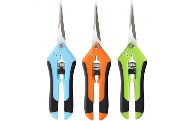 BEoffer 3 Pack Pruning Shears, 6.5 Inch Garden Scissors Gardening Hand Pruning Snips with Straight Stainless Steel Precision