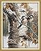 Joy Sunday Cross Stitch Kits 14CT Counted Autumn birds (1) 19.7