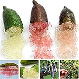 Exotische pflanzen samen Exotische pflanzen samen