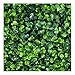 e-Joy 12 Piece Artificial Topiary Hedge Plant Privacy Fence Screen Greenery Panels Suitable for Both Outdoor or Indoor, Garden or Backyard and Home Decorations, Boxwood 20'' L x 20'' H primary