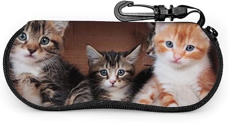 Amazon Co Jp 3匹のかわいい子猫 メガネバッグ 眼鏡 メガネ メガネ収納ケース サングラスボックス ジッパーメガネ サングラスバッグ メガネケース おしゃれ スリム 超軽量 ポータブル 小さいサイズ 多機能 キーチェーン付き ホーム キッチン