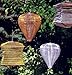 Allsop Home and Garden 10