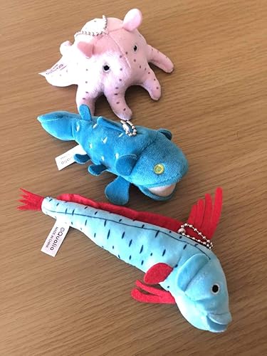 Amazon Qualia 深海魚のぬいぐるみ アミューズメント品 プライズカラー リュウグウノツカイ シーラカンス メンダコ 全3種 アイドル 芸能人グッズ 通販
