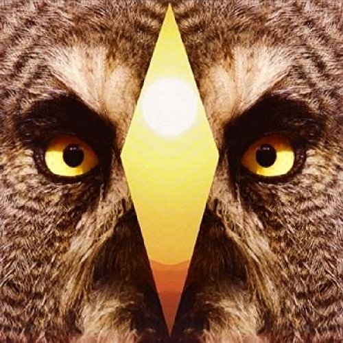 Album art for Sleepy Son by Sleepy Sun