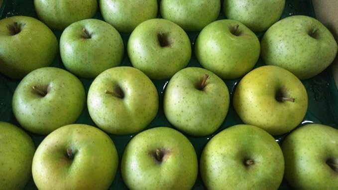 Amazon 王林 約10kg 約 56玉 長野 山形 青森産 オウリン おうりん りんご リンゴ 林檎 グルメ フルーツ甘味屋ggy 1サイズ ノーブランド品 りんご 通販