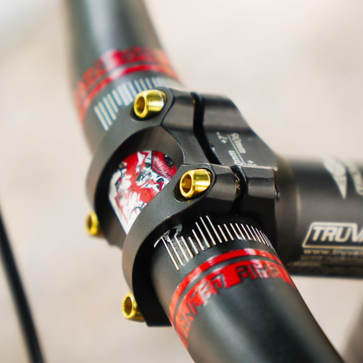 View 5