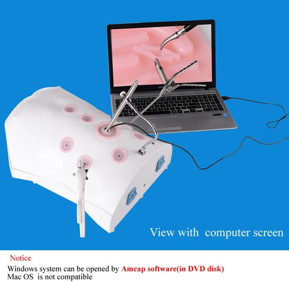 Laparoscopic Trainer Box 1:1 Training Simulator Kit Prosthetic Training Box +4 Instruments +4 Modules+ HD Endoscope with USB Connection Computer