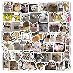 BulbaCraft 100Pcs Cat Meme Stickers - Funny Cat