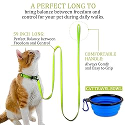 DOYOO 2 Pack Puppy Dog Leash Cat Leash, Strong and