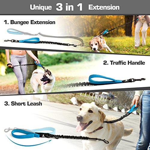 SparklyPets FLASH SALE | Adjustable Leash and 3 in 1 Shock-Absorbing Bungee Extension Set – Heavy Duty Dog Leash for Medium and Large Breeds Made from Durable Nylon – Reduces Pulling Shocks - Blue