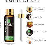 MAYJAM Tea Tree Essential Oil 10ML Pure Undiluted with Glass Dropper view 5
