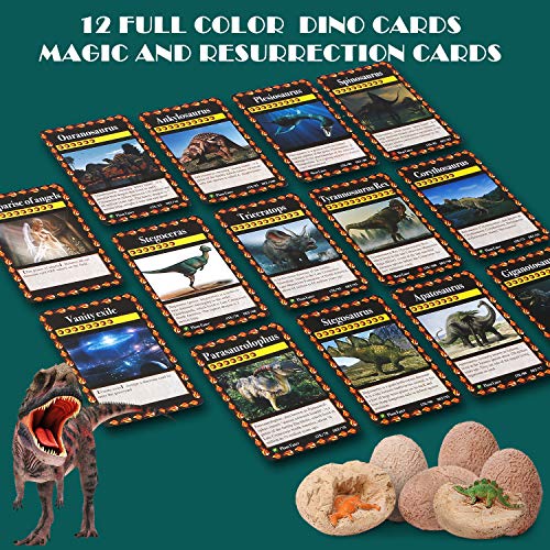 Dino Egg Dig Kit-12 Dinosaur Eggs Dino Egg Excavation Kit for Dinosaur Birthday Theme Party Science STEM Toys Easter Paleontologist Gift Preschool Educational Toys for Boys Girls Kids - Thumbnail 2