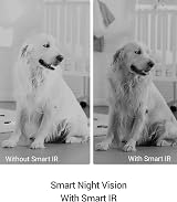 EZVIZ C6N 2MP Indoor Camera 256GB Baby Pet Monitor Motion Detection Night Vision view 7