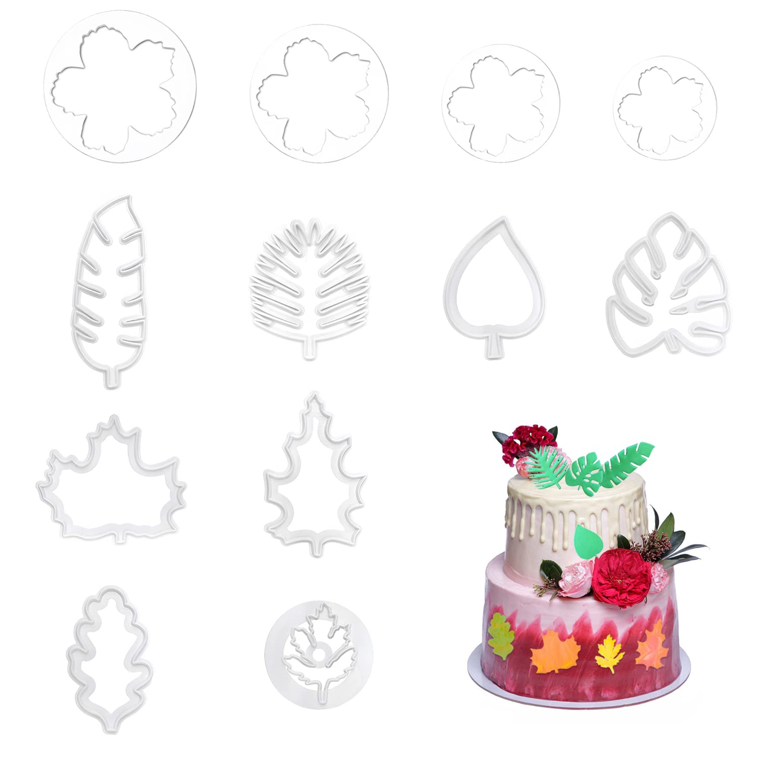 ZHIQIN Tropical Leaves Cookie Cutters Set for DIY Biscuits Fondant Cake Decorative Baking Tools 12 Pieces
