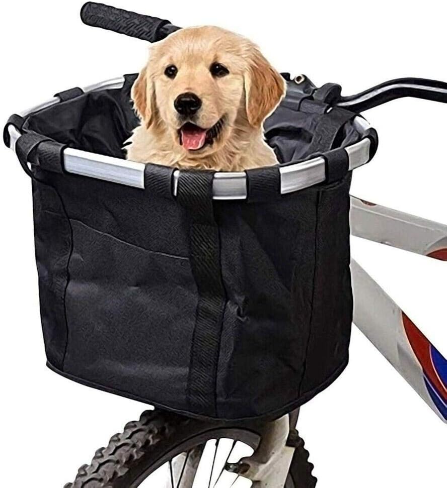 womens bike with dog basket
