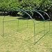Strong Camel Portable Greenhouse Large Walk in Green Garden Hot House Outdoor Plant Tunnel Tent (10' X7'X6')