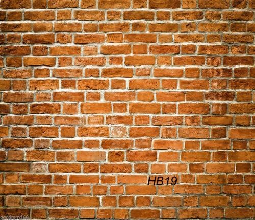 8x8ft BRICK WALL Pictorial cloth Customized Backdrop CP Photography Prop Photo Background HB19