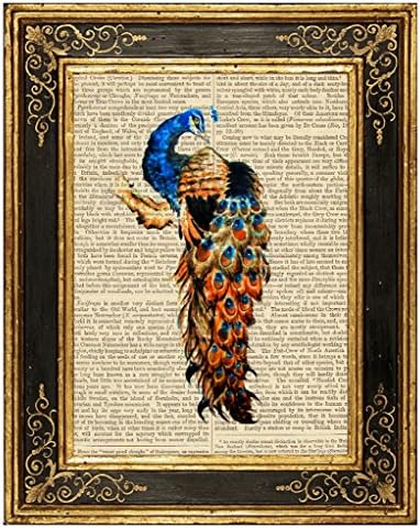Dreamery Studio, Peacock #4 Art Print on Upcycled Antique Book Page, 8x10.5