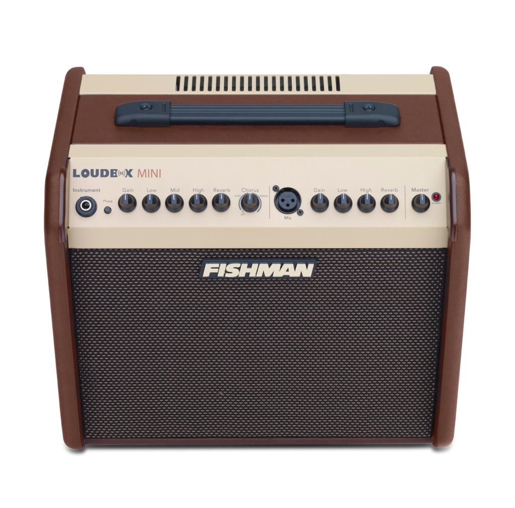 Amazon.com: Fishman Loudbox Mini Acoustic Instrument Amplifier: Musical