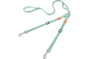 HOWGO Double Dog Leash, No Tangle 360° Swivel, Adjustable Two Padded Handles, Double Clip Dog Leash Coupler Splitter for 30~150 lbs Large and Medium Breeds (Mint Green, 4/5'' x 4.8 FT, Ultralight)