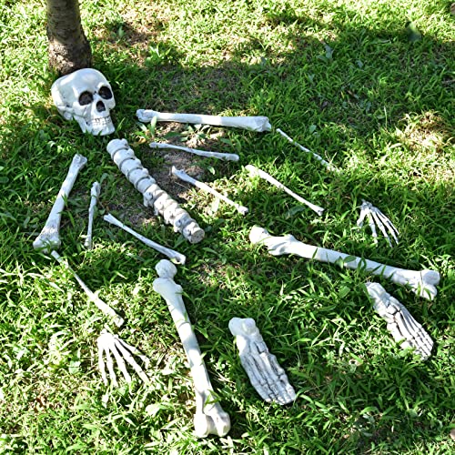 61pfNQTqKyL.jpg