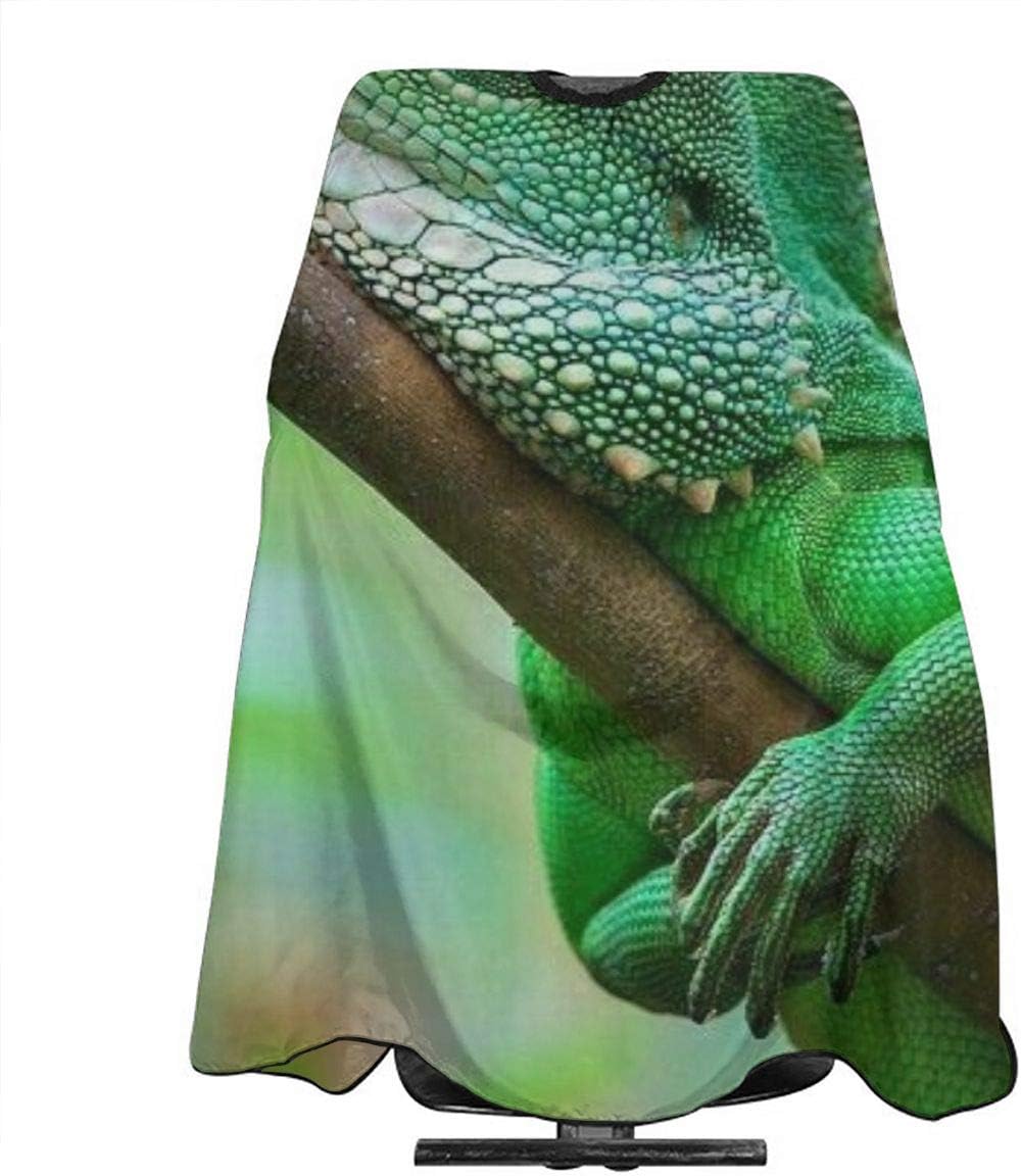 NiYoung Professional Salon Cape for Men Women, Water-Resistant Green Bearded Dragon Lizards Climbing The Tree Barber Hairdressing Cape Lightweight Hairdresser Apron Haircut Gown, Skin-Friendly