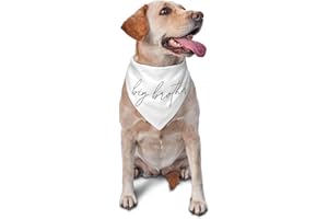 vercosee Promoted to Big Brother Dog Bandana Gender Reveal Dog Bandana Reversible,Soon to be Big Brother,Baby Announcement Dog (White)