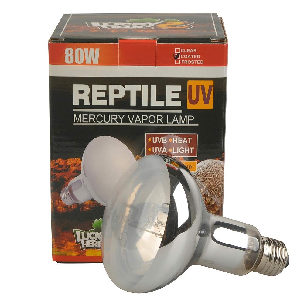 LUCKY HERP Reptile UVA UVB Mercury Vapour Bulb Lamp,80 Watt,R95,E27 Screw Thread,Six-Month Guarantee (Coated)
