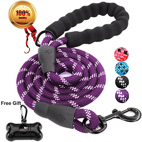 JBYAMUS 5 FT Strong Dog Leash with Comfortable Padded Handle and Highly Reflective Threads for Medium and Large Dogs (5-FT, Purple)
