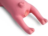 Petface Latex Lounging Pig Soft Chew Dog Toy Pack of 2 view 2
