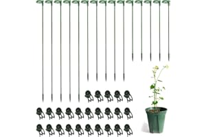 LUCKJUJU 30 Pcs Plant Support Stakes with 30 Pcs Plant Clips Garden Floral Flower Support Single Stem Support Stake for Phalaenopsis Orchid Flower Roses Amaryllis