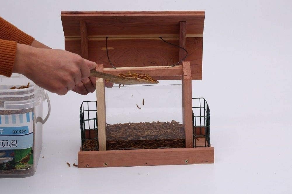Solution4Patio Homes Garden USA Cedar Bird Feeder Wildbird Essentials Handmade Wooden Outdoor Ranch Patio Yard Tree Hanging with Double Plastic Window and Double Suet Holder Cages Combination #G-8534 : Garden & Outdoor