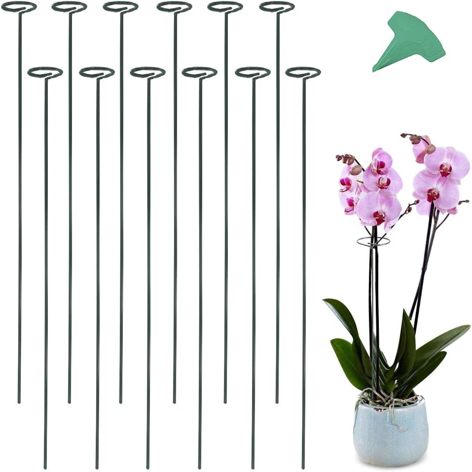 The Best 36 Inch Garden Stakes Your Smart Home