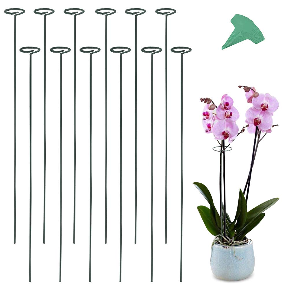 GROWNEER 12 Packs 36 Inches Garden Flower Support Plant Support Stakes, with 15 Pcs Plant Labels, Single Plant Stem Flower Support for Flowers, Orchid, Peony, Lily, Rose