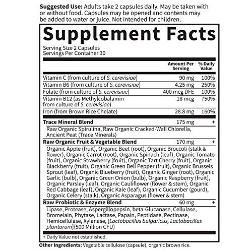 Garden of Life Vitamin Code Iron Supplement, Healthy Blood 60 Vegan