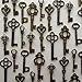 Salome Idea Skeleton Key Charm Set in Antique Bronze (48 Charms) 6 Styles - Vintage Style Key Charms (Bronze Color)