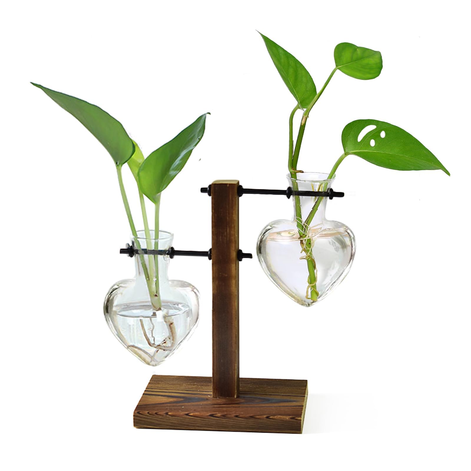 XXXFLOWER HUABEI Plant Terrarium Wooden Stand, Air Planter Bulb Glass Vase Metal Swivel Holder Retro Tabletop Hydroponics Home Garden Office Decoration - 2 Bulb Vase Left Right